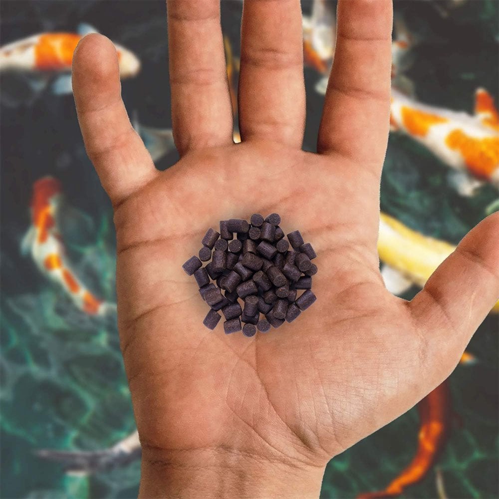 Sinking Fish Food