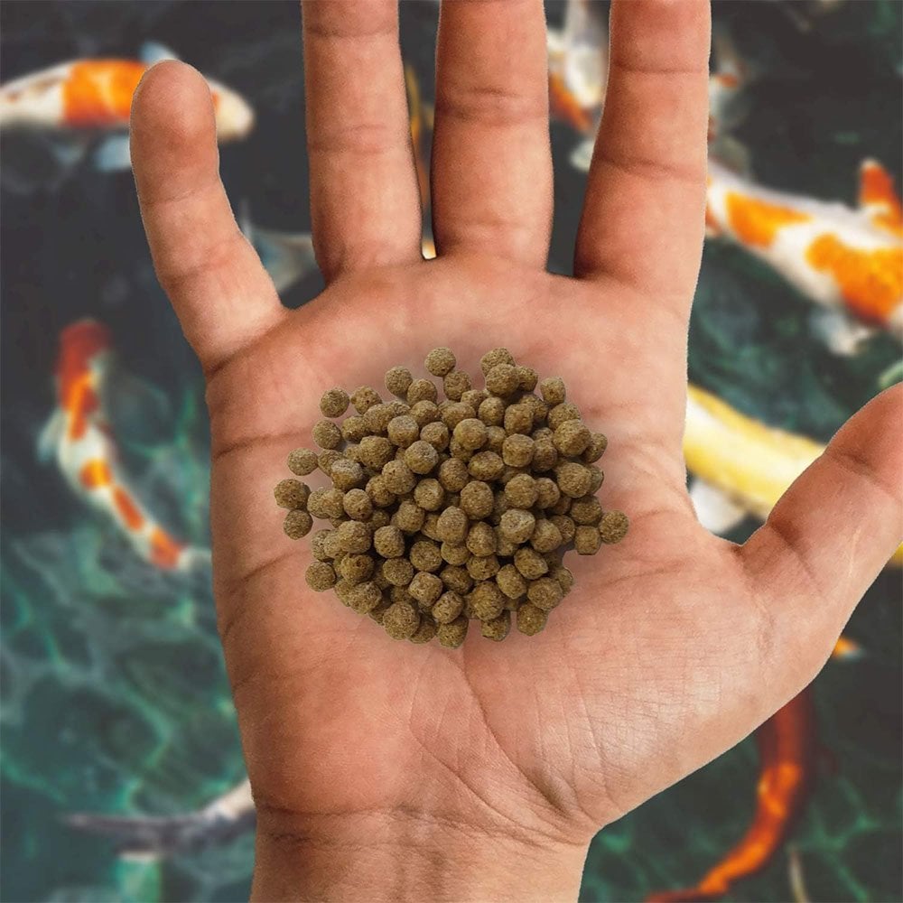 Wheatgerm Fish Food