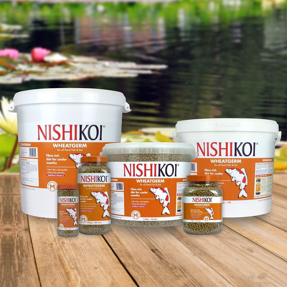 Wheatgerm Fish Food