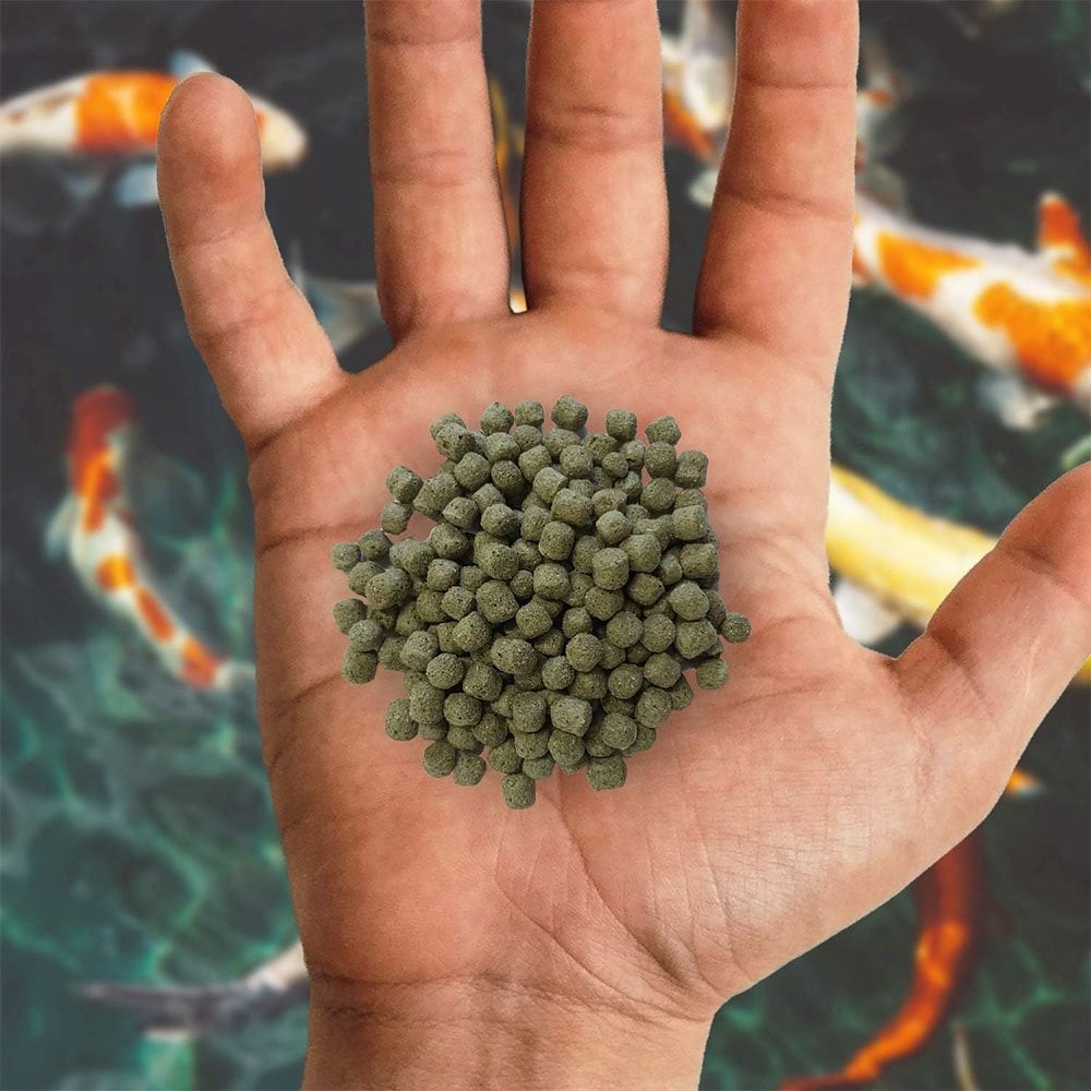 Staple Fish Food