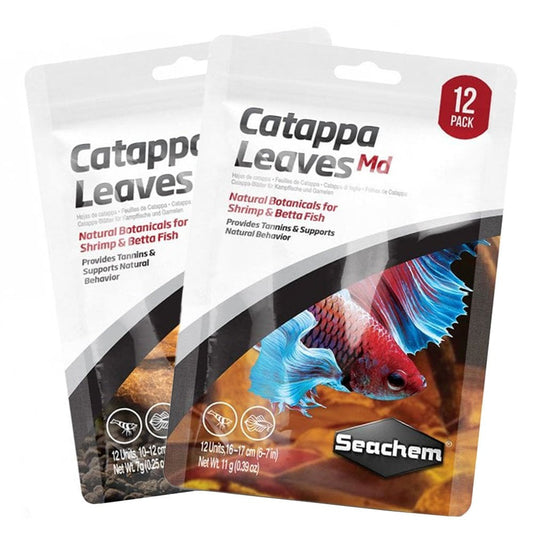 Catappa Leaves