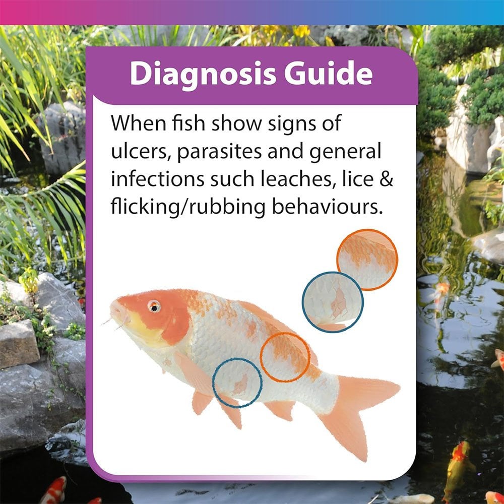 Koi Care Potassium Permanganate