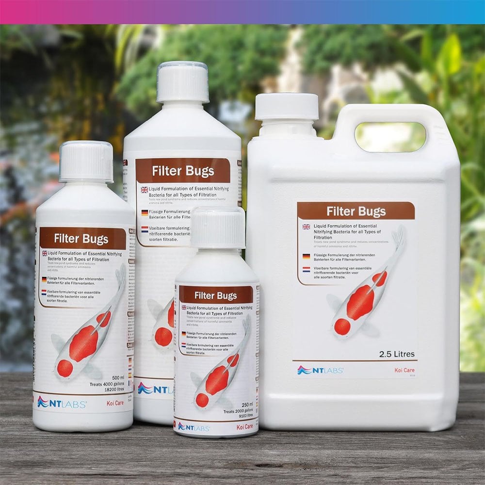 Koi Care Filter Bugs