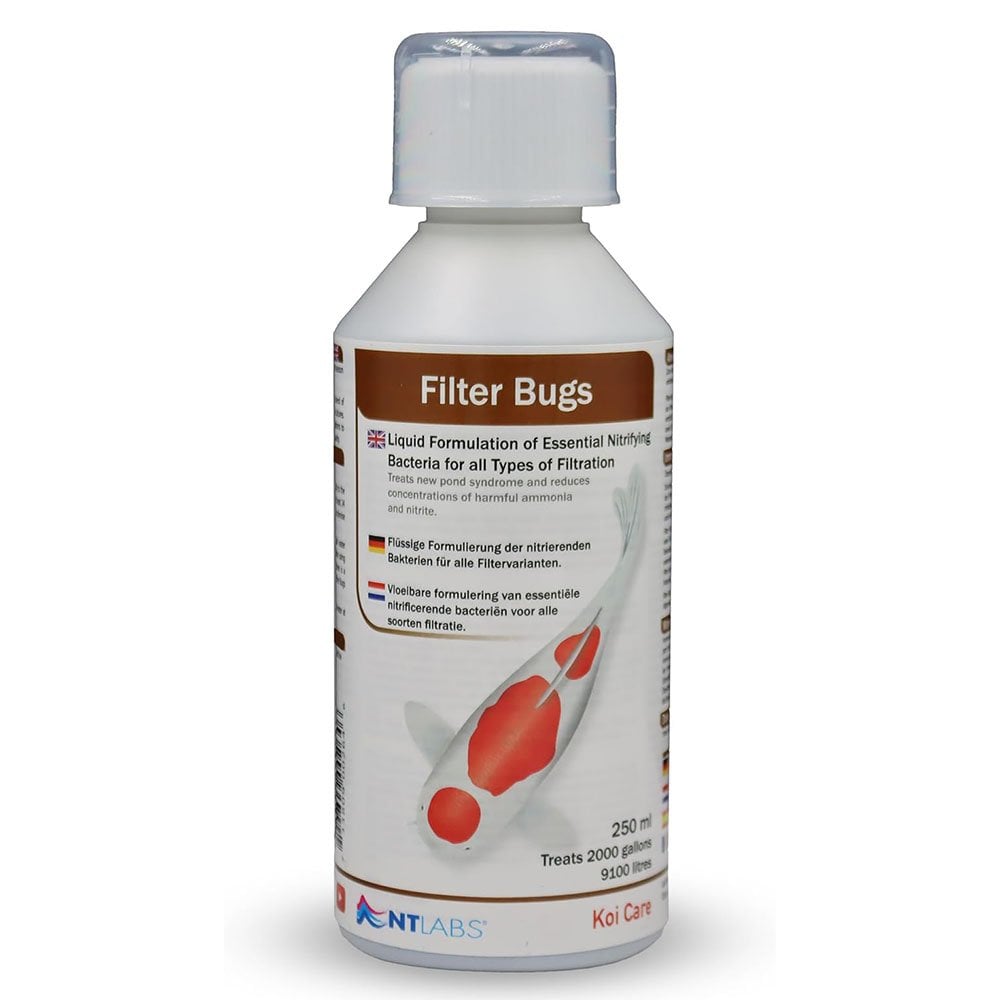 Koi Care Filter Bugs