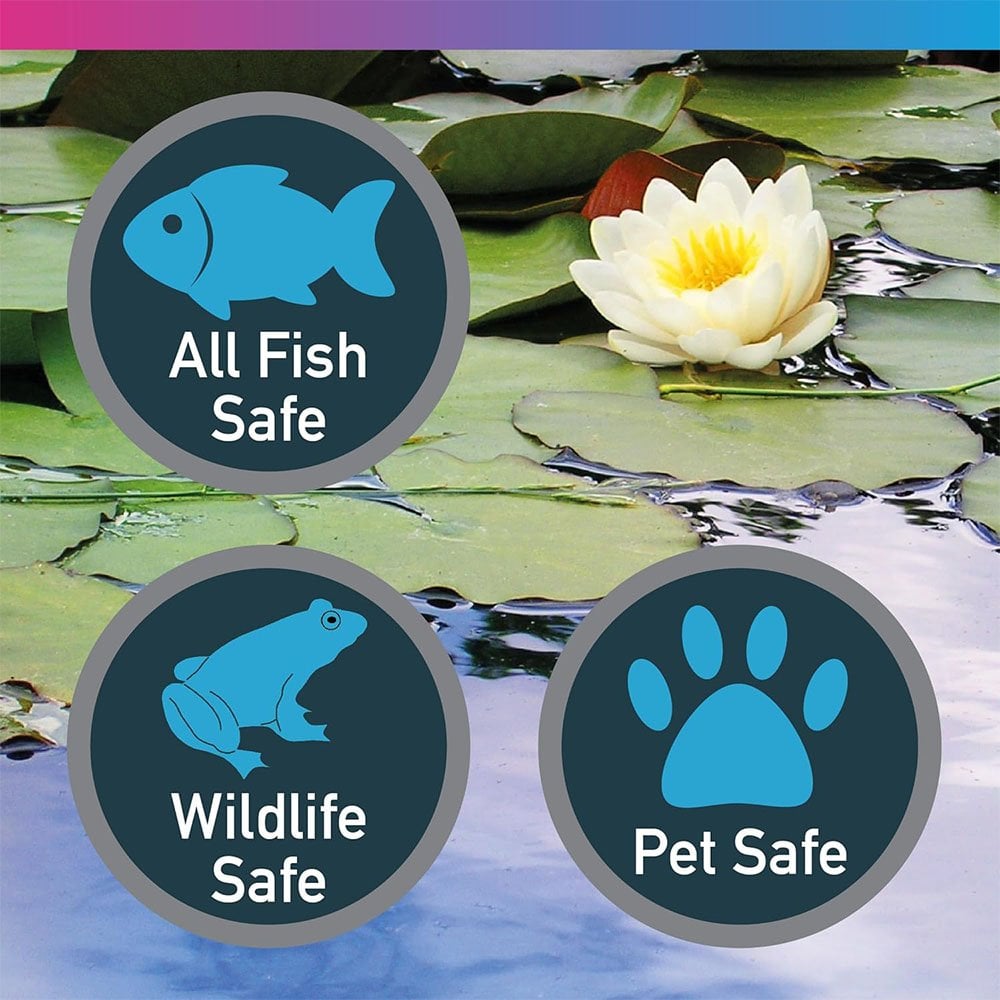 Magiclear - Clears Green & Cloudy Water