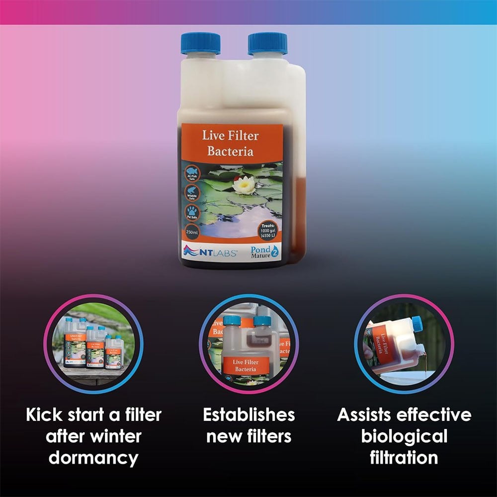 Mature - Live Filter Bacteria