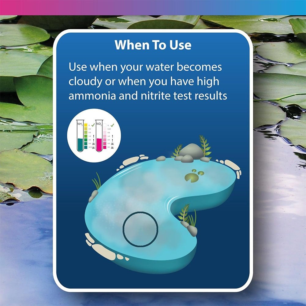 Mature - Live Filter Bacteria