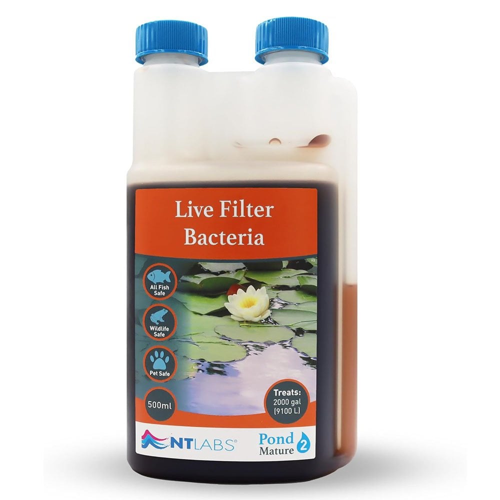 Mature - Live Filter Bacteria