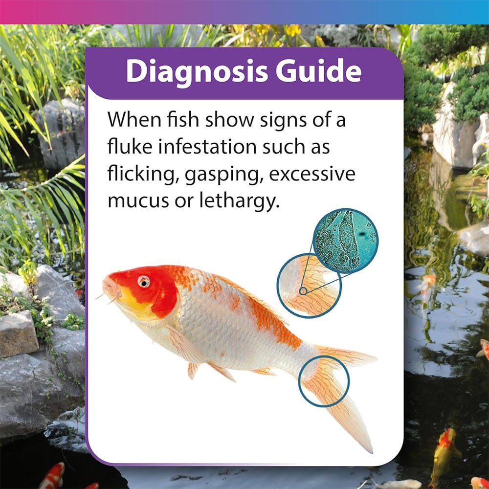 Koi Care Flukasol Suspension