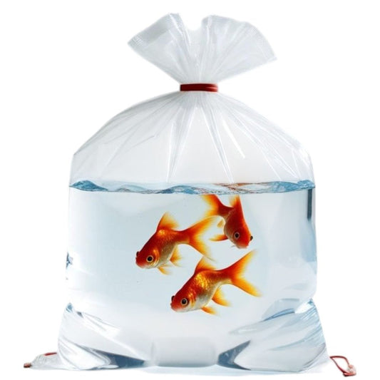 Fish Transport Bags 14" x 26" (25pk)