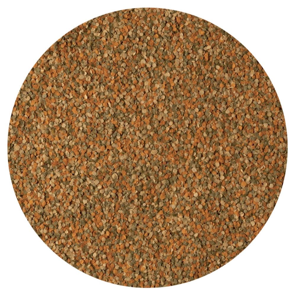 TetraMin Crisps Tropical Fish Food