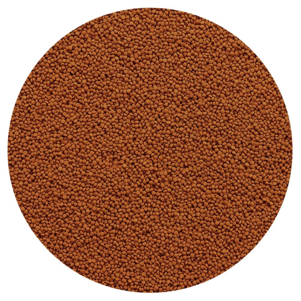 Cichlid Colour Mini Pellets 170g