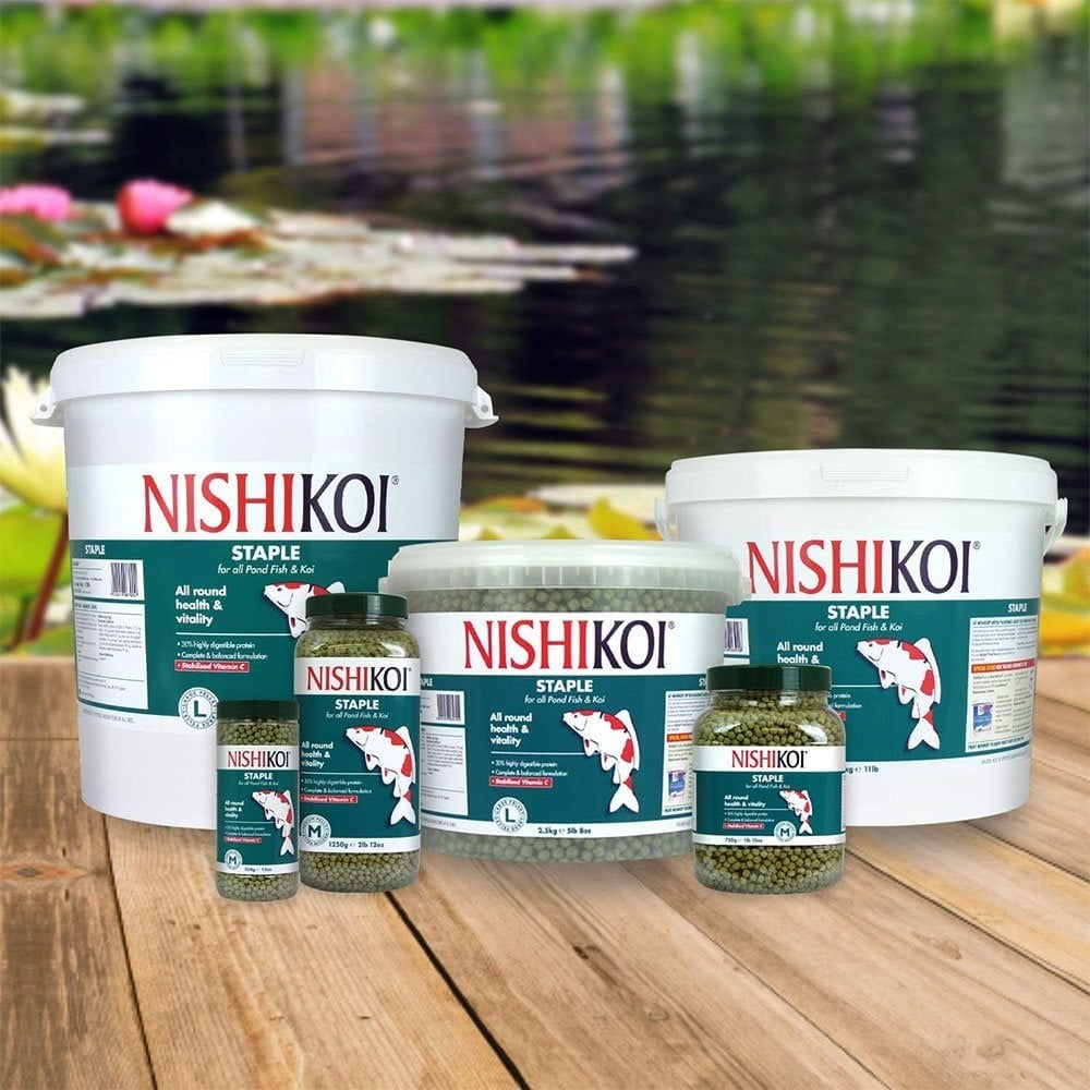 Staple Fish Food