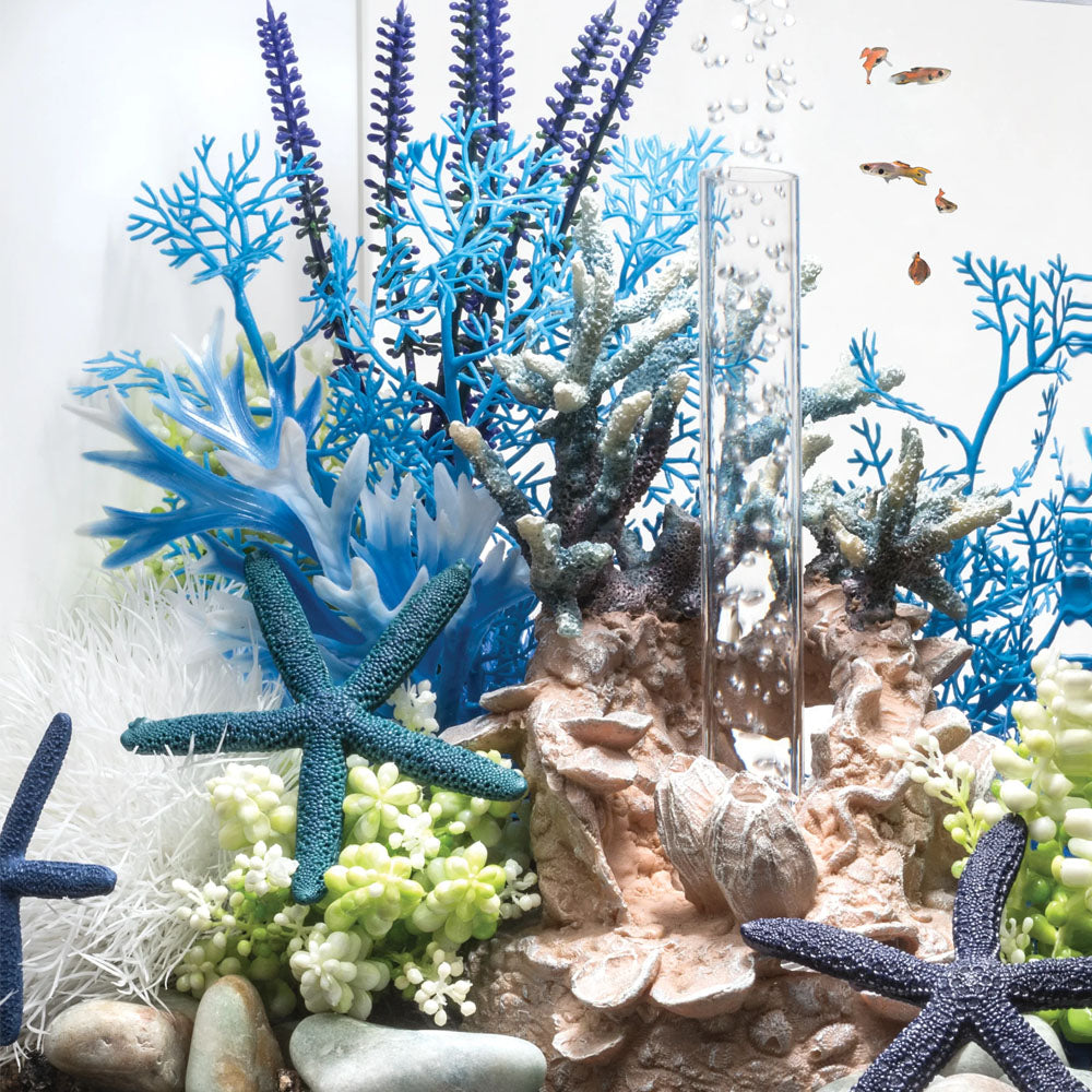 Colour Plants Blue/Purple