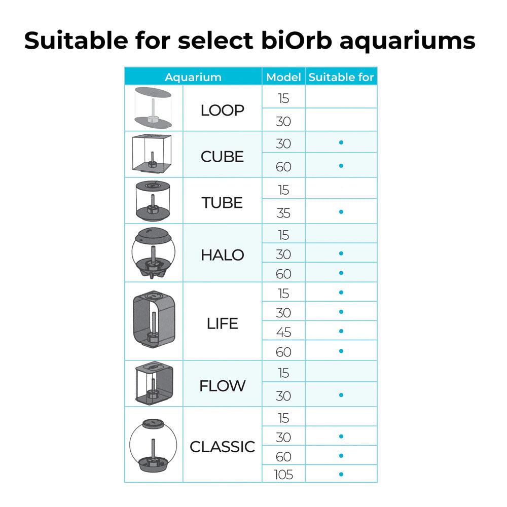 Winter Flowers Plant Pack