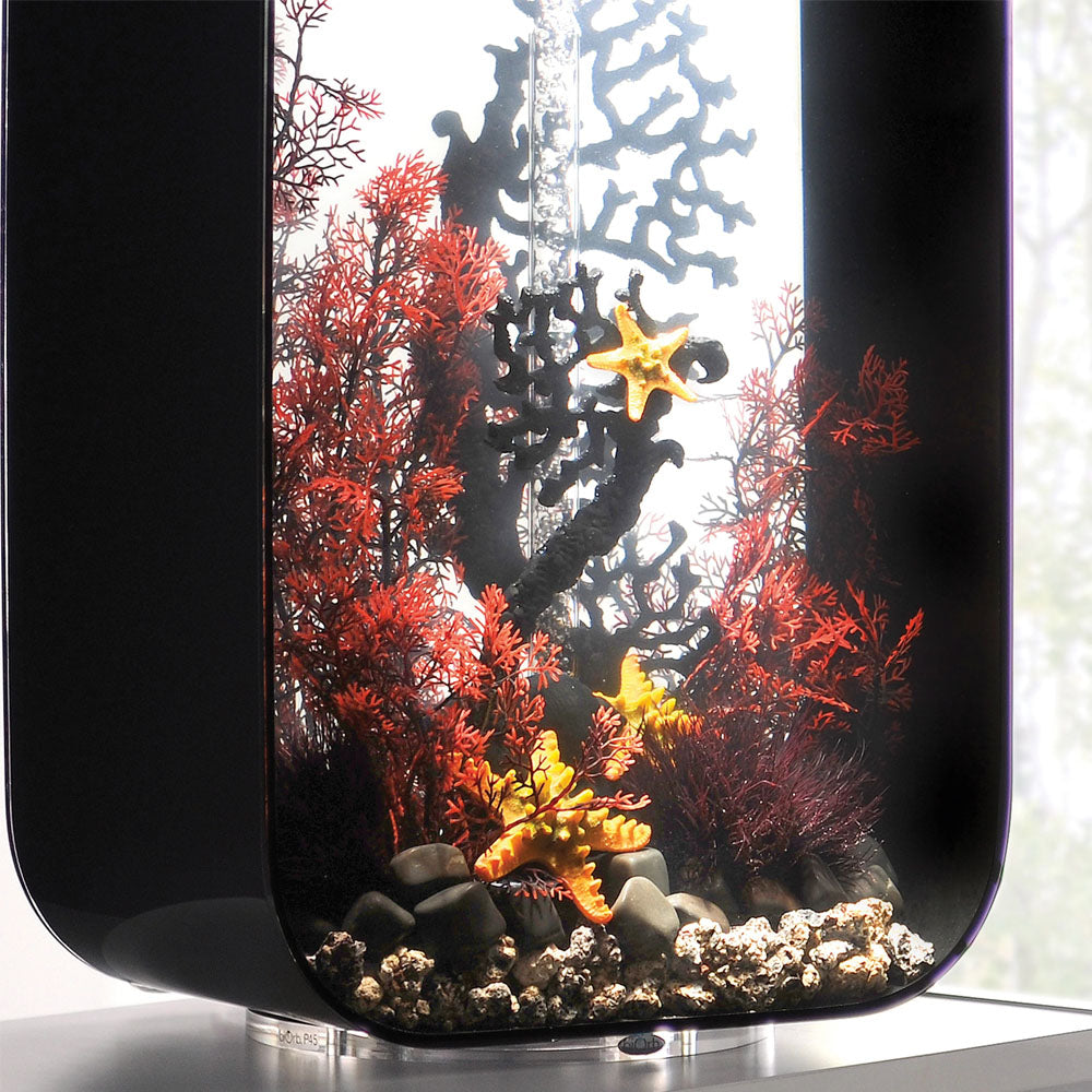 Crimson Sea Fan - Medium