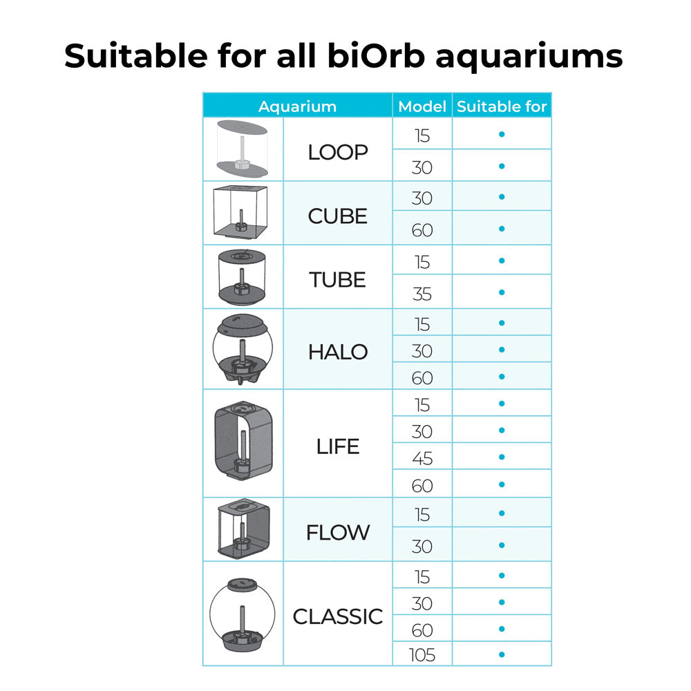 Topiary Ball With Daisies