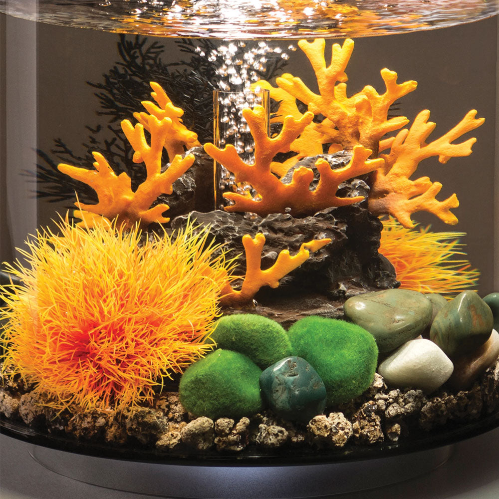 Black Sea Fan - Small