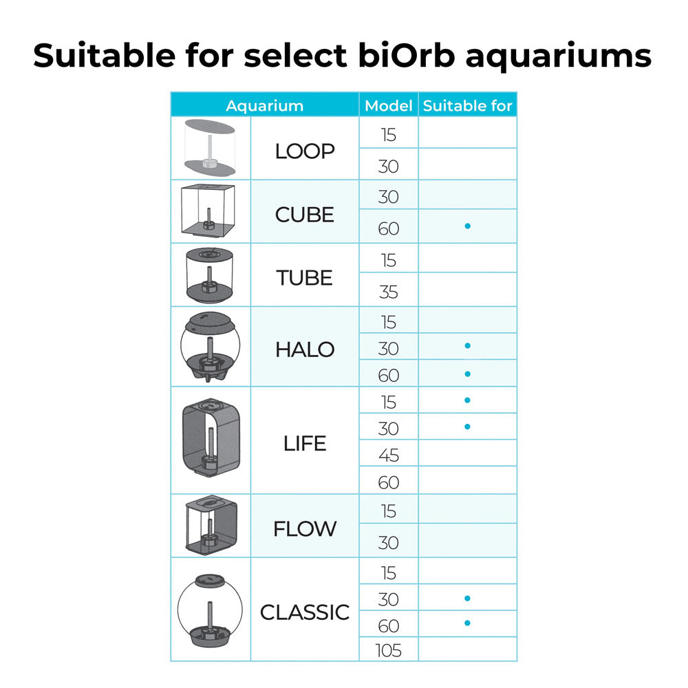 White Fan Coral Ornament - Medium