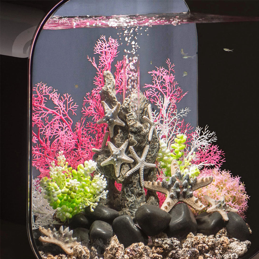 Samuel Baker Sea Stars On A Rock Sculpture