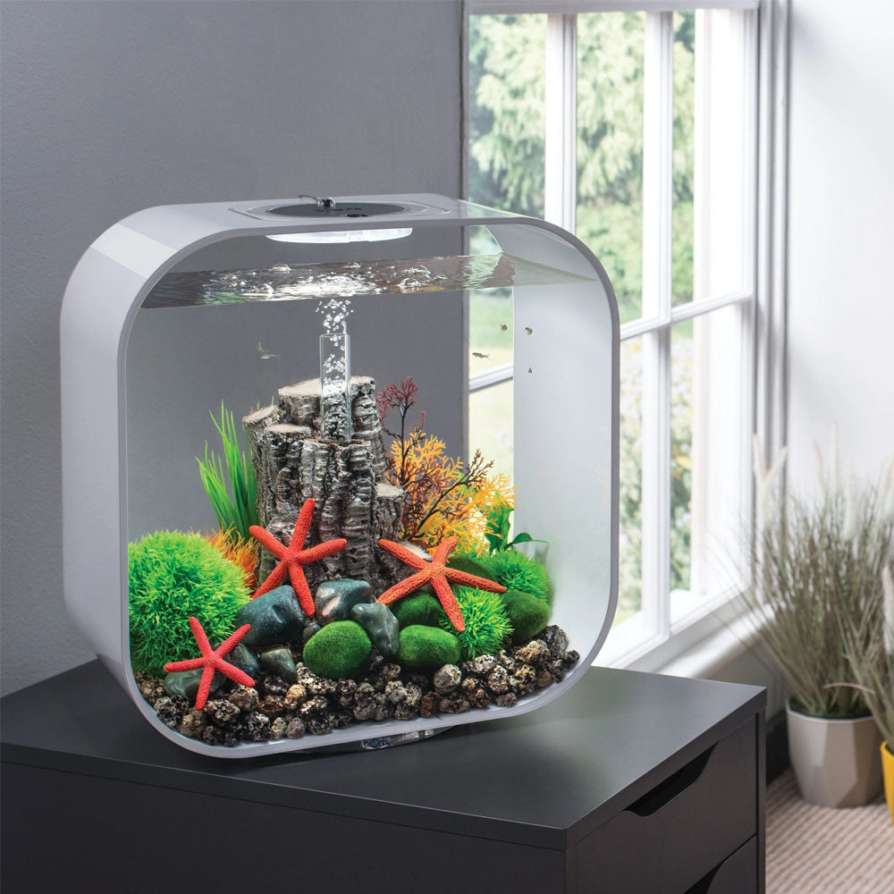 Silver Birch Ornament