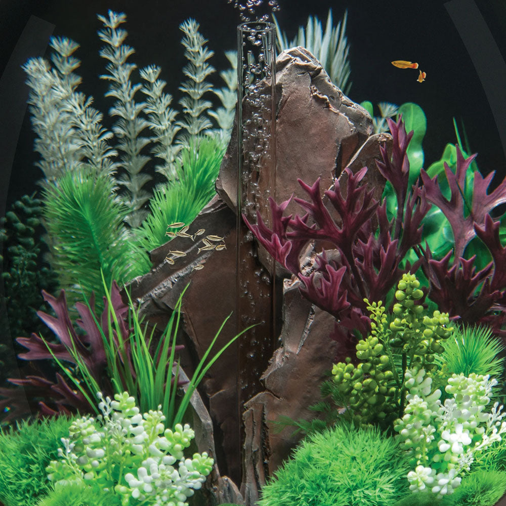 Seapearls & Kelp Olive Green