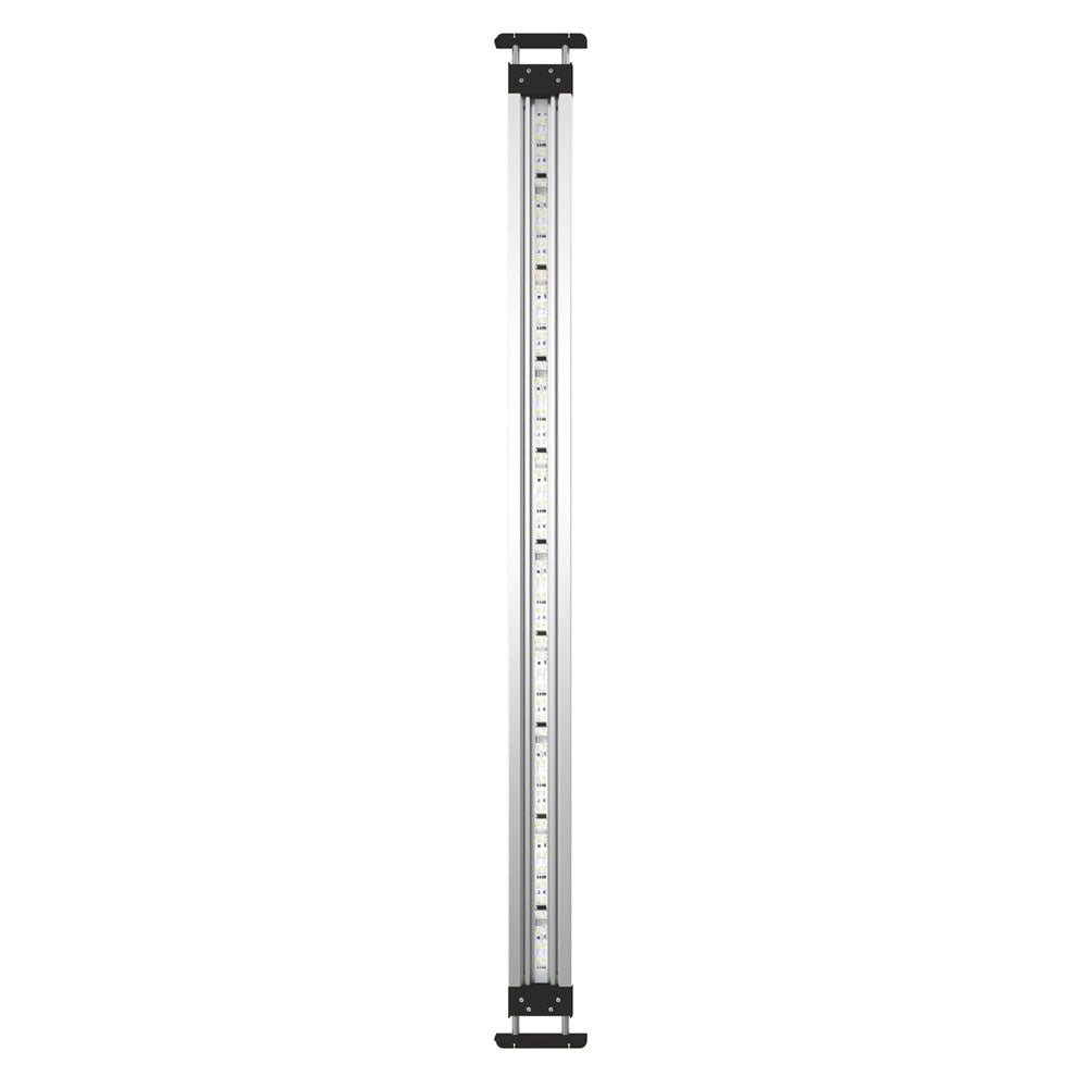 MotionControl LED 100