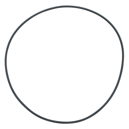 FX2 Filter Lid O-Ring - A20213