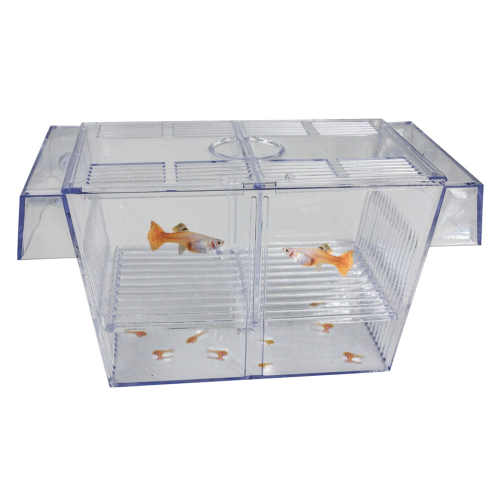 Floating Breeding Box