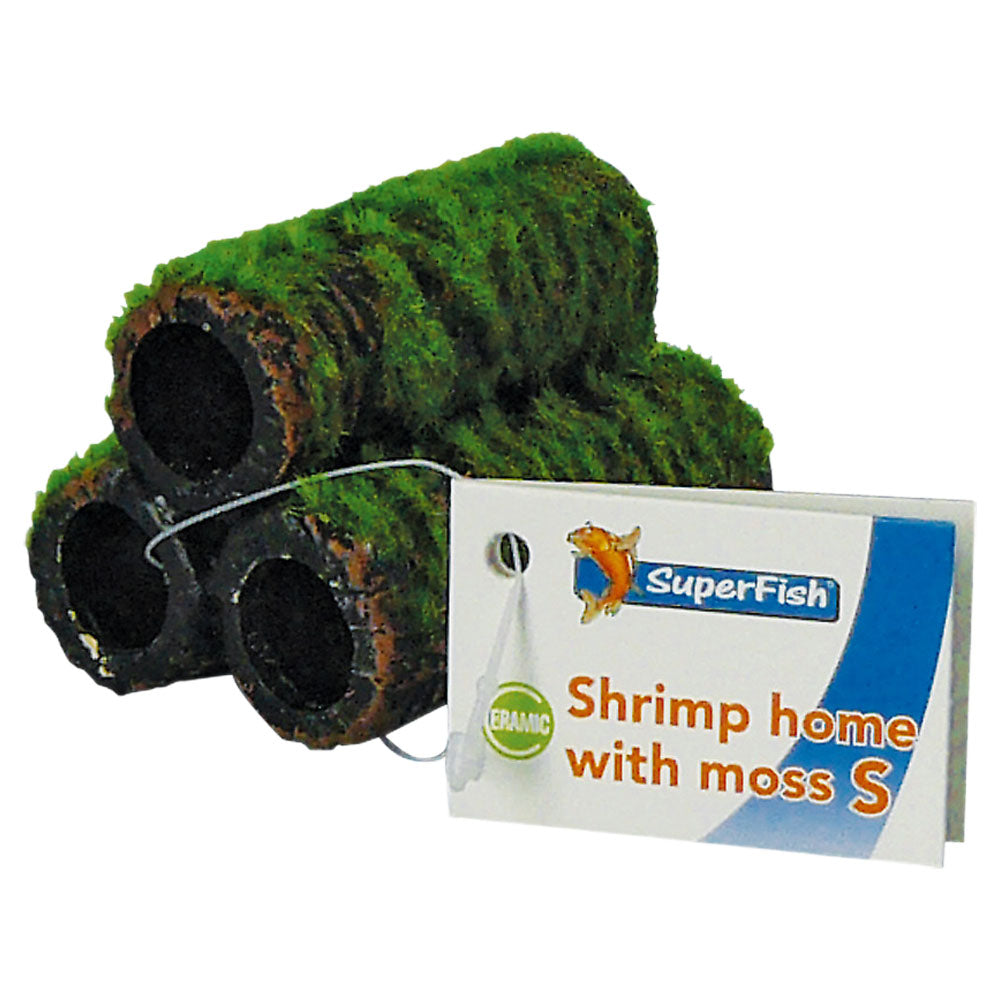 Shrimp Home With Moss - Small