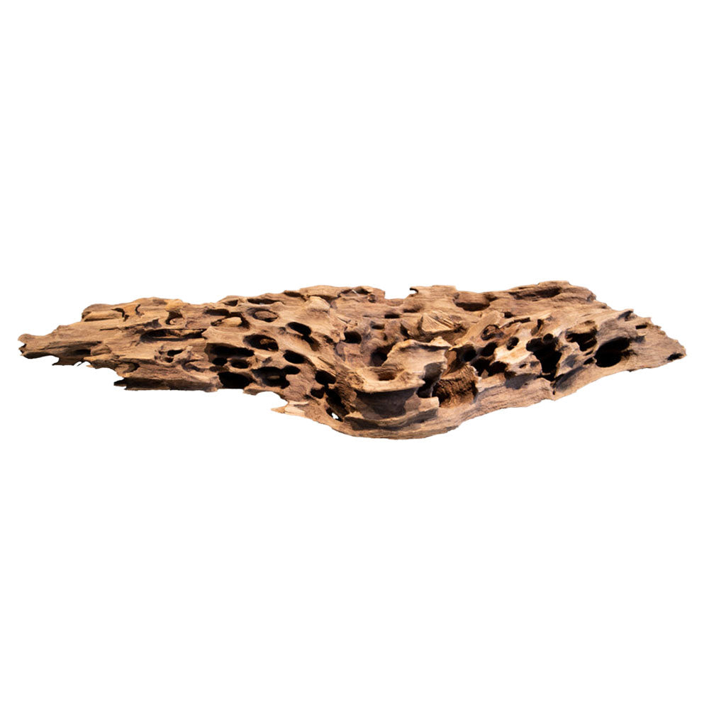 Natural Honeycomb Wood