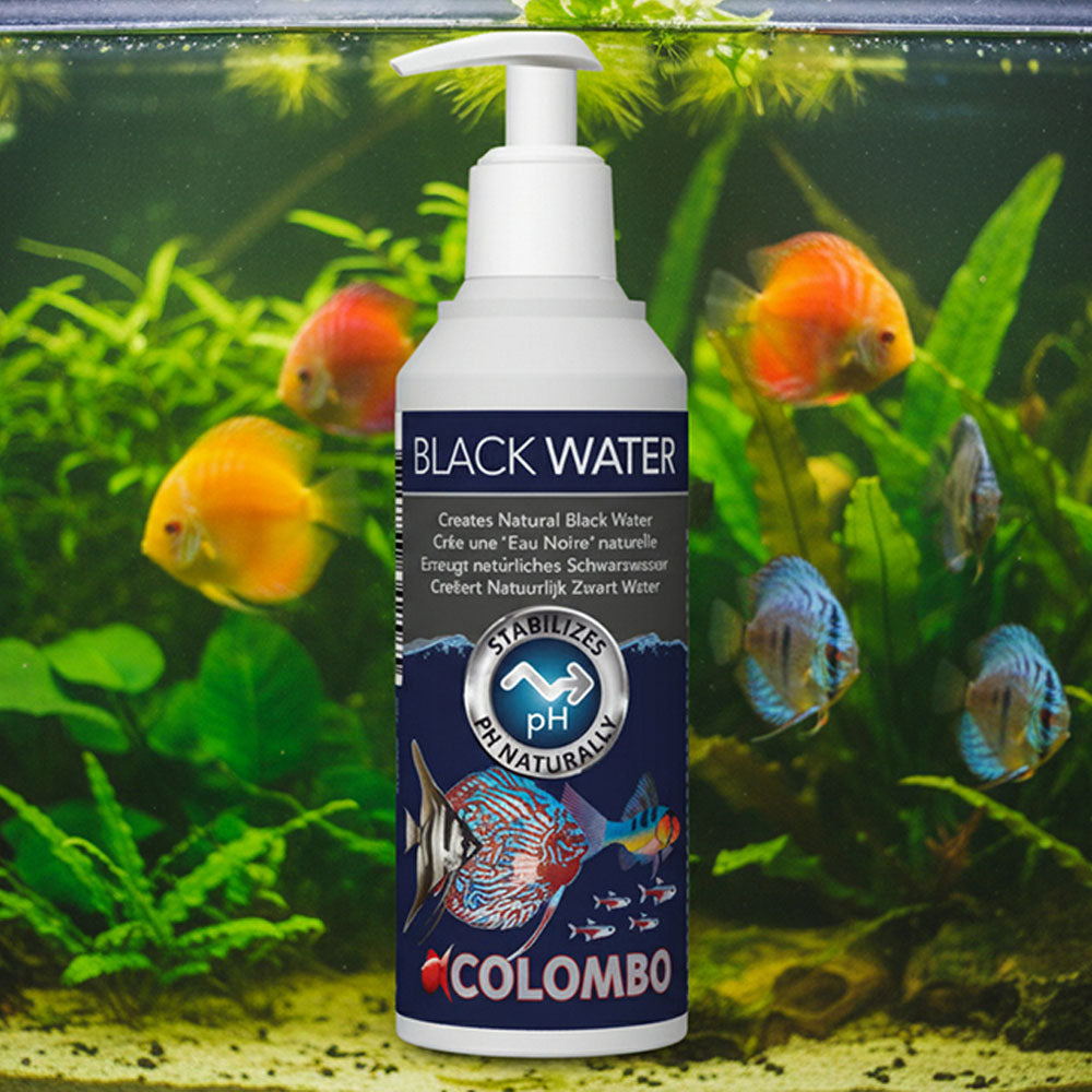 Black Water - Water Conditioner 250ml