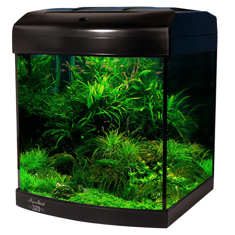 AquaStart 320 Glass Aquarium 28L - Gloss Black
