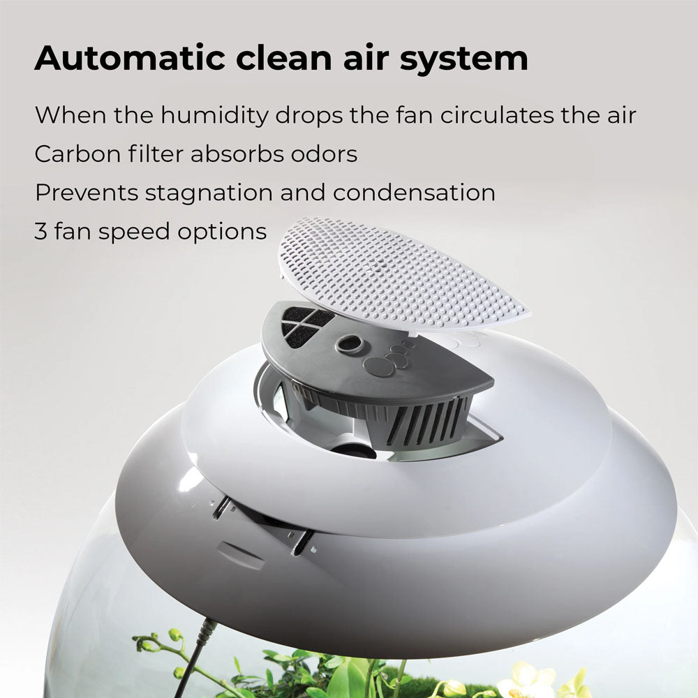 Air 60 Terrarium - White