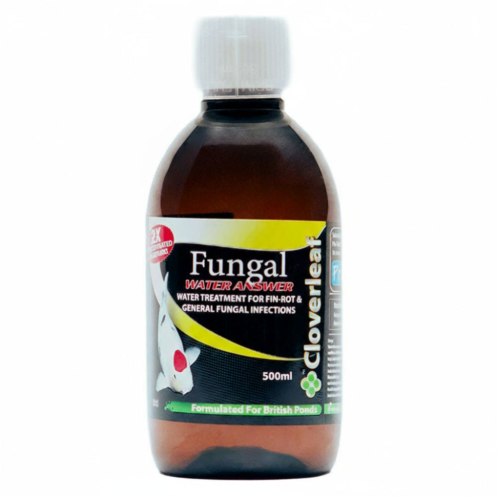 Fungal Water Answer