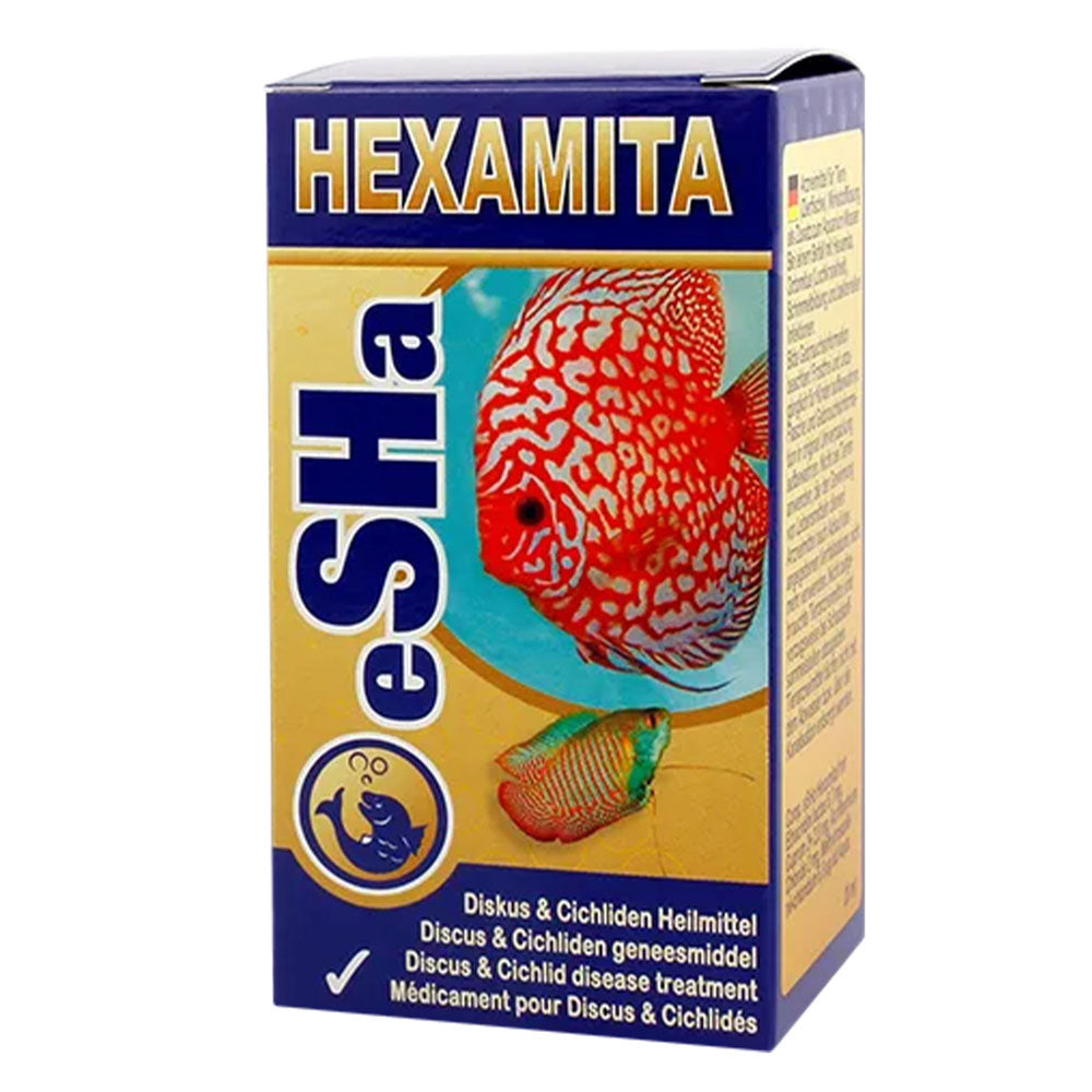 Hexamita
