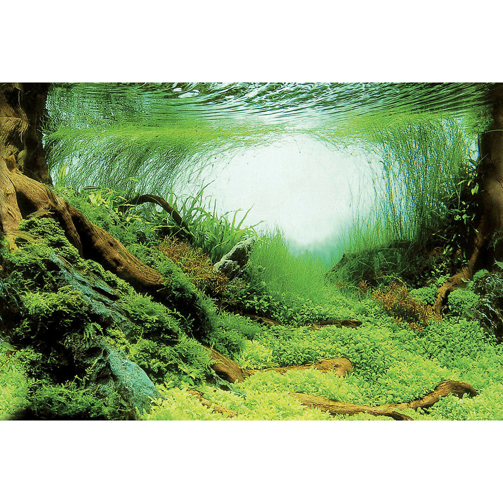 Deco Poster Aquarium Background C