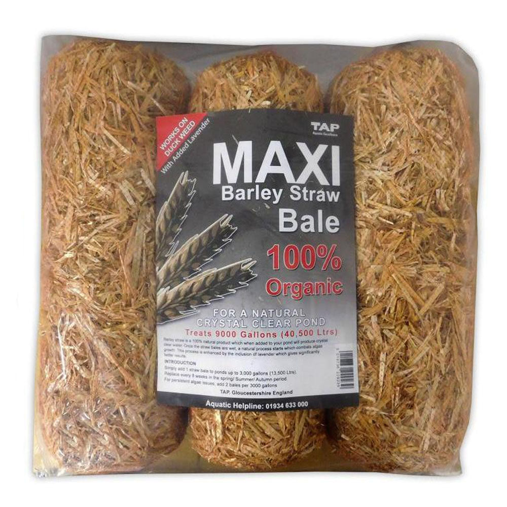 Barley Straw Bales