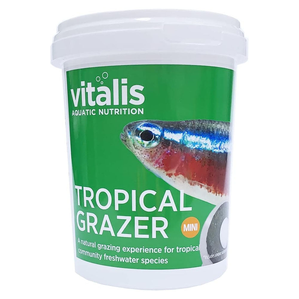Tropical Grazer