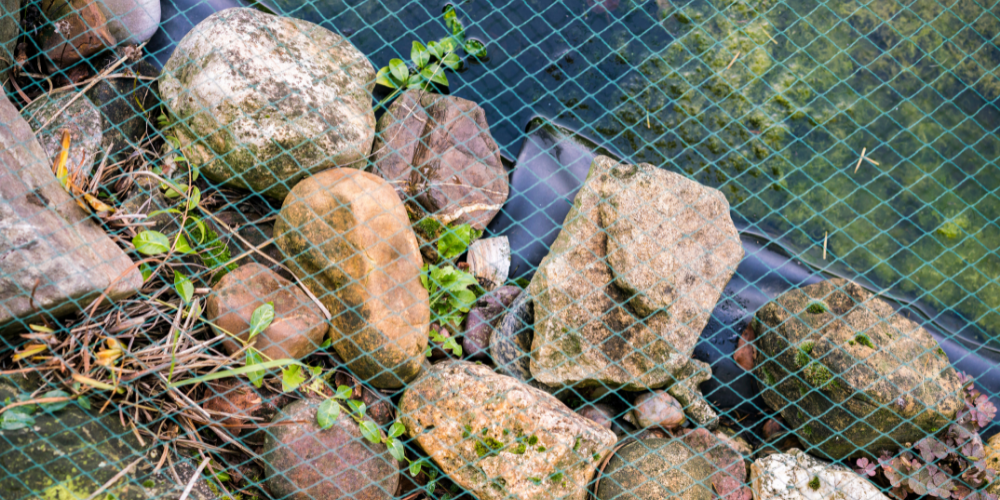 Pond Netting Why Pond Netting is Important and the Best Type to Buy