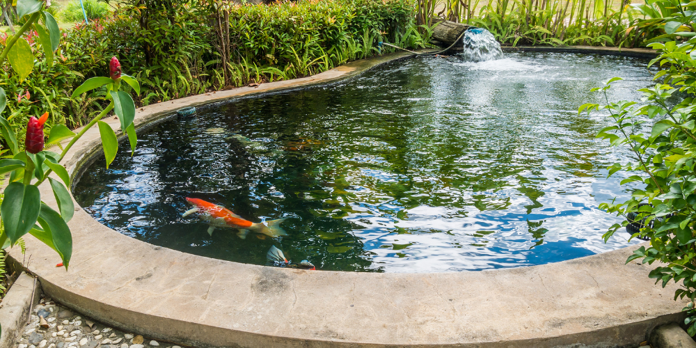 The Ultimate Pond Liner Guide Pond Guides Pond