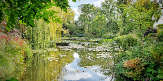 Pond Water Temperature Guide
