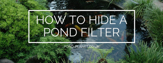 How To Hide A Pond Filter