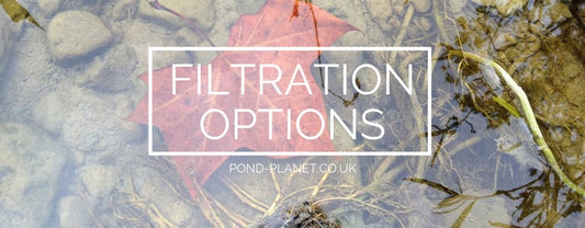 The Difference Between Box Filters & Pressure Filters