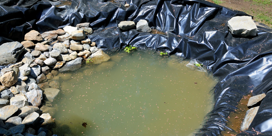 How to Install Garden Pond Liner in 6 Easy Steps