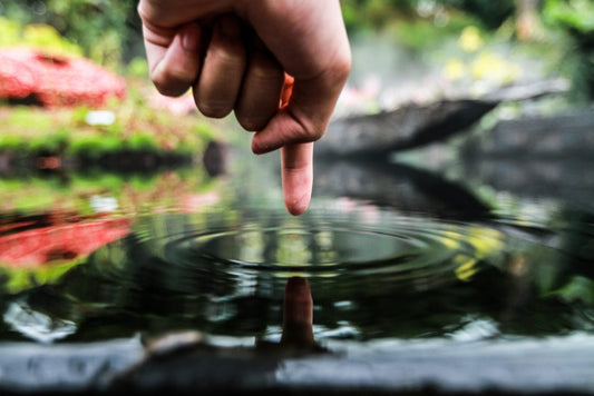 finger pointing to pond water