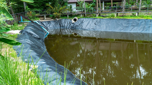 Large pond with pond liner visible