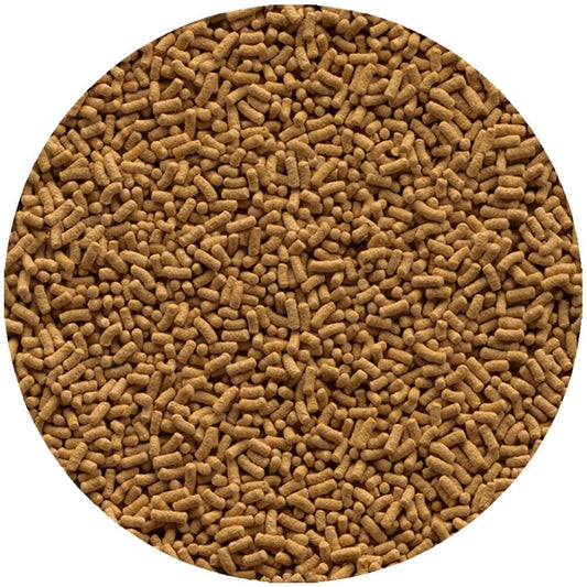 Benefits of Wheatgerm Fish Food