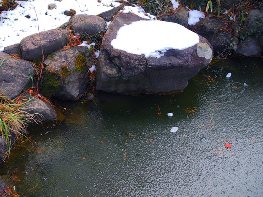 How to Look After a Pond in Winter