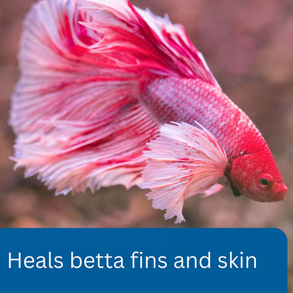 Bettafix 50ml